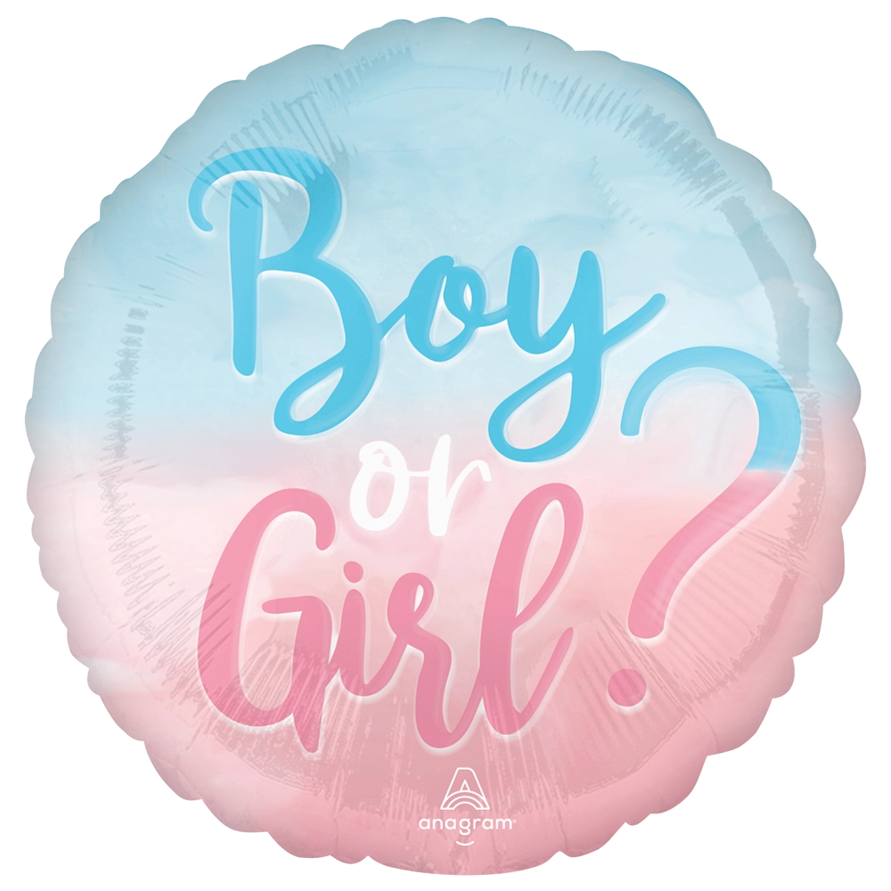 The Big Reveal: Boy or Girl