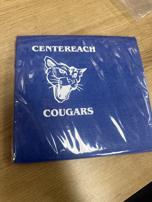 Centereach Lunch Nap