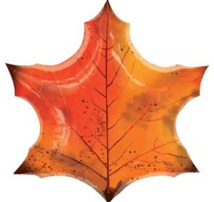 Supershape Leaf Mylar