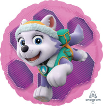 Load image into Gallery viewer, 18&quot; Paw Patrol Skye &amp; Everest Balloon
