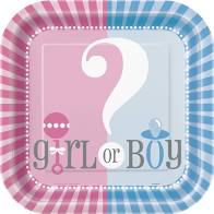 Boy or Girl Baby Shower/Gender Reveal Tableware Pattern