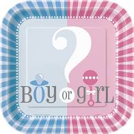 Boy or Girl Baby Shower/Gender Reveal Tableware Pattern